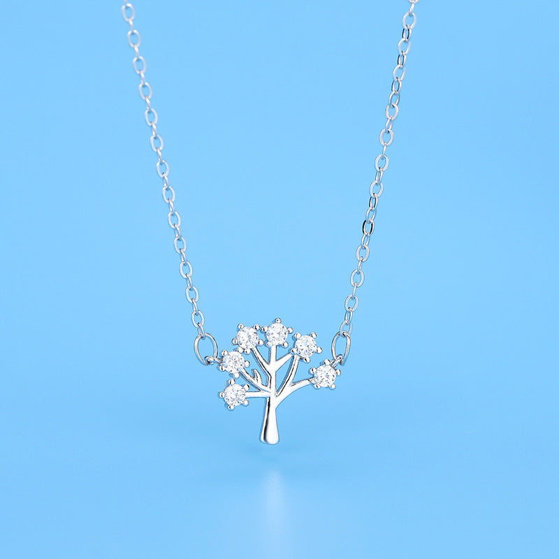 2cf276c514e8fb5c377b9c3b56061aed